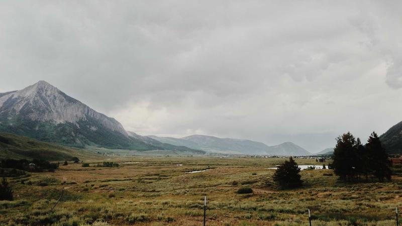 Big Buck Bunny — HLS Stream